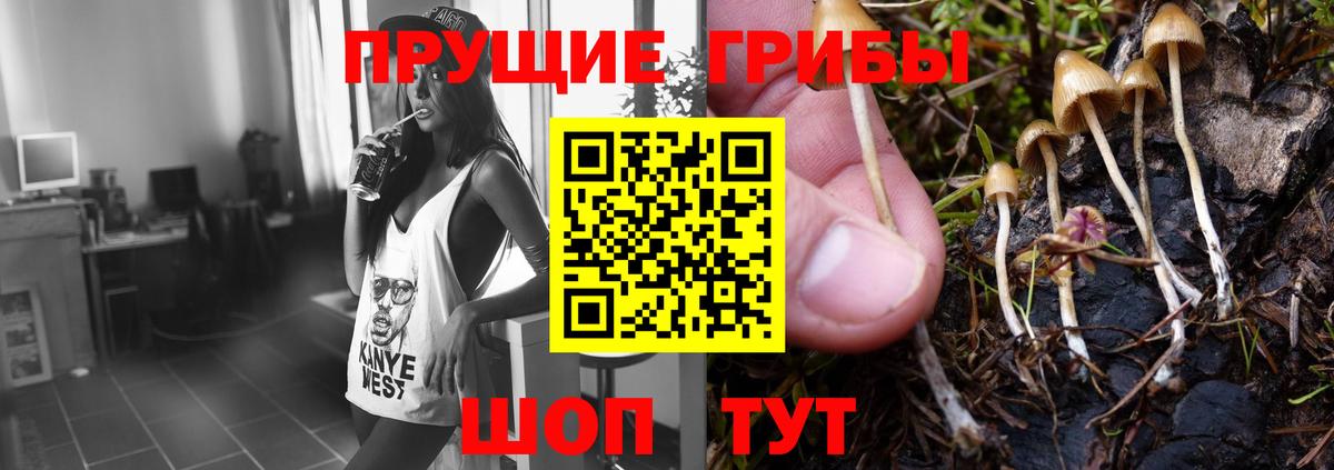 Псилоцибиновые грибы Cubensis  Вход с VPN  закладки  Тутаев 