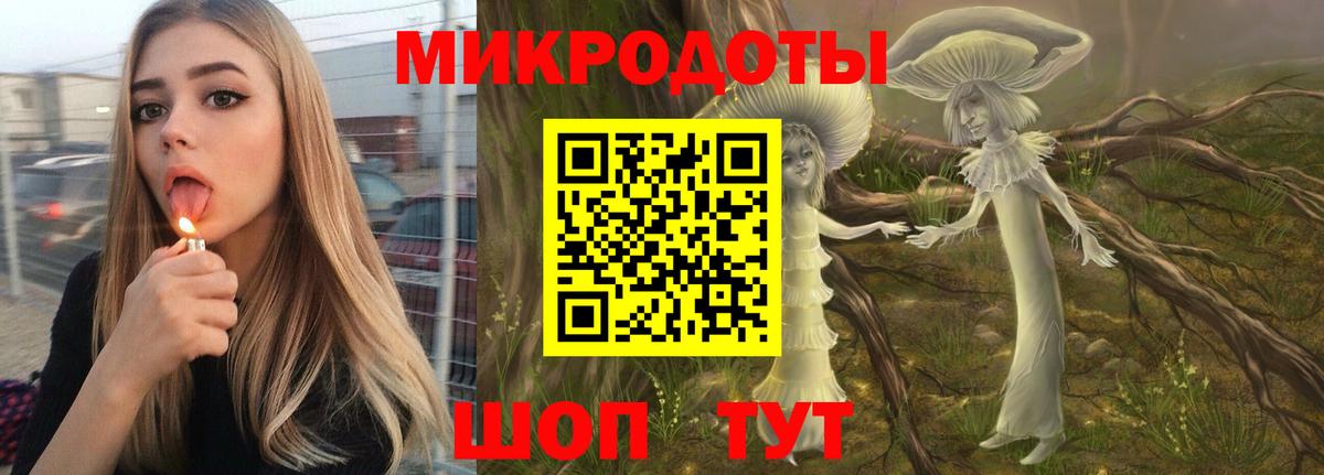 Псилоцибиновые грибы Cubensis Тутаев